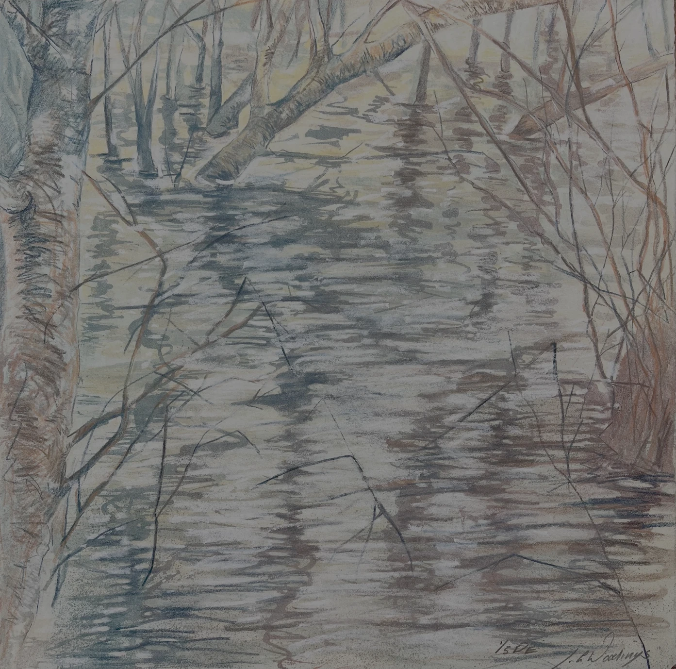 Judith Wooding - Flooded & Tangled Growth 2 - 43x43cm - £250